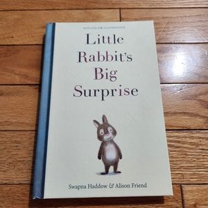 Usborne book little rabbits big surprise